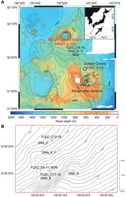 Hydrothermal vent chimney-base sediments as unique habitat for meiobenthos and nanobenthos: Observations on millimeter-scale distributions